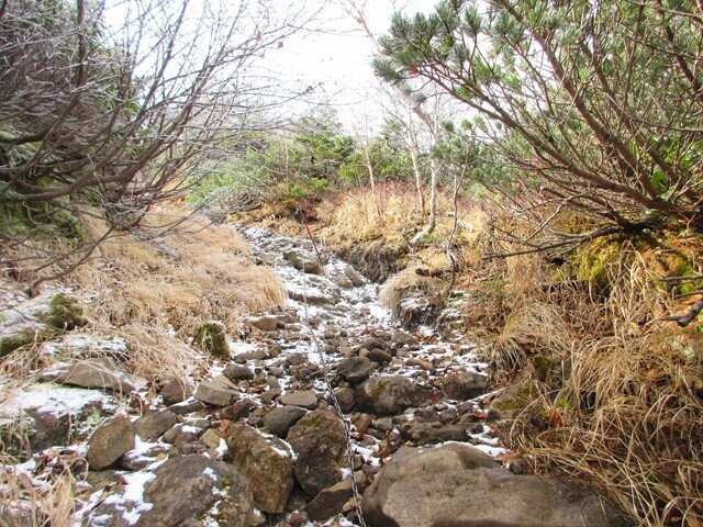 県界尾根を下山はチェーンスパイク等の装備が必要な核心部
