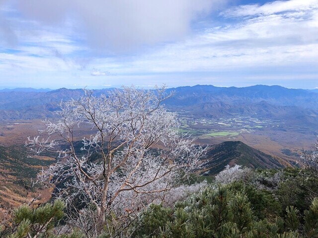県界尾根の核心部周辺の景色が開けた様子