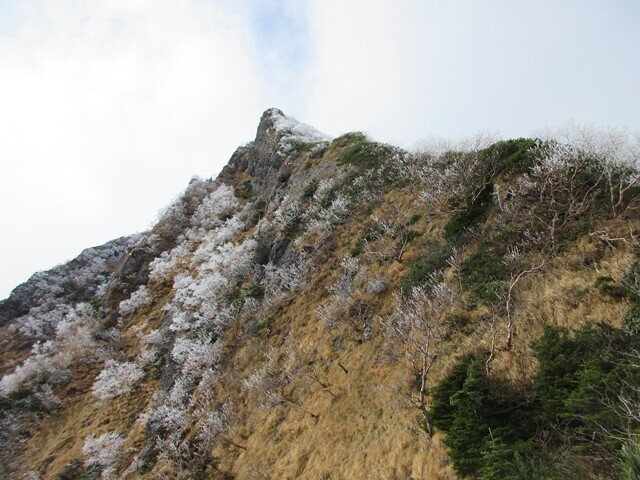 県界尾根の赤岳の偽ピーク