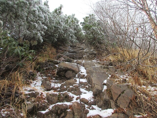 県界尾根の凍っている鎖場