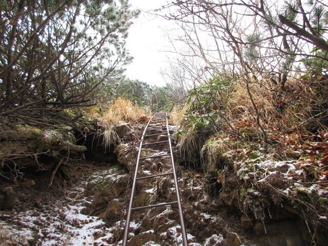 県界尾根の長い梯子