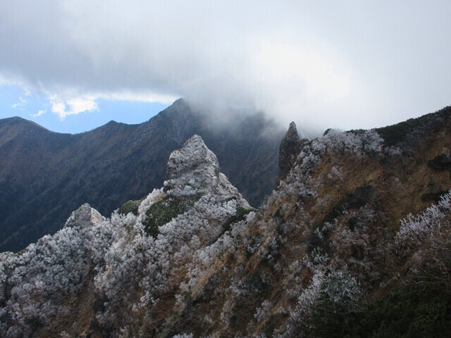 真教寺尾根から見る八ヶ岳の権現岳方面