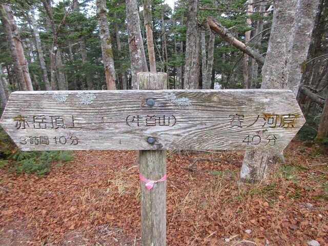 真教寺尾根の牛首山の山頂