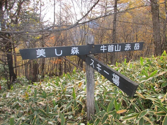 美し森とスキー場の分岐地点と道標