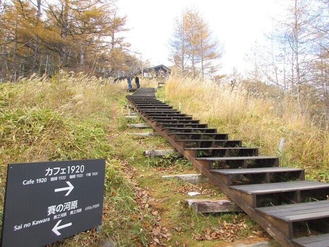 真教寺尾根カフェ１９２０への分岐地点