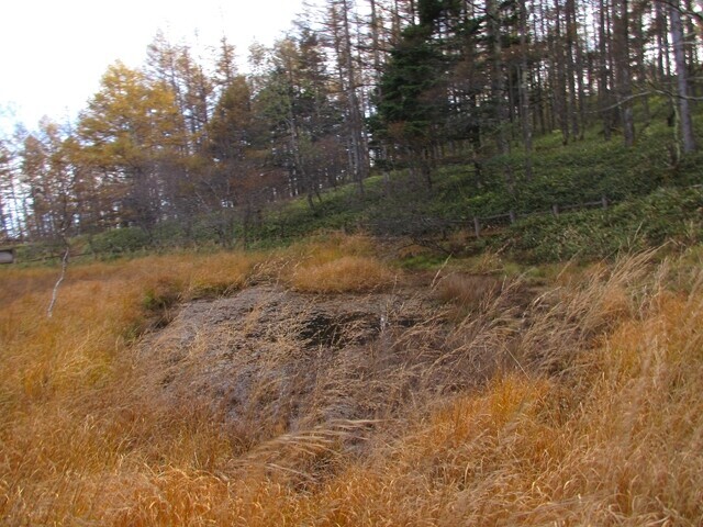 八ヶ岳の羽衣の池周辺の様子