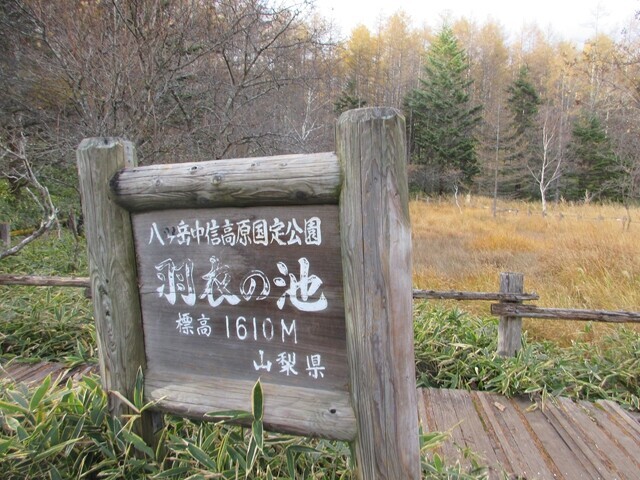 八ヶ岳の羽衣の池
