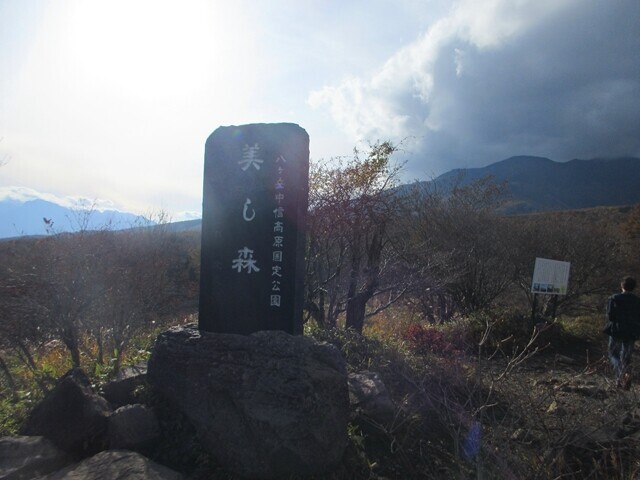 美し森の紅葉のピークの様子