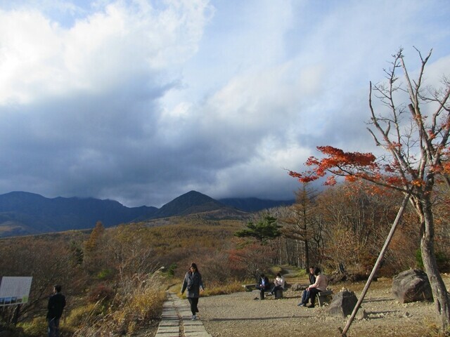 美し森に訪れている登山者と観光客の様子
