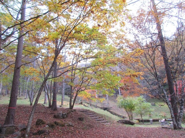 紅葉の最盛期に立原高原キャンプ場