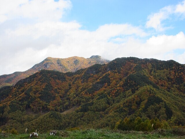 立原高原キャンプ場の紅葉の見頃の時期