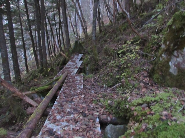 天狗山の登山道の様子