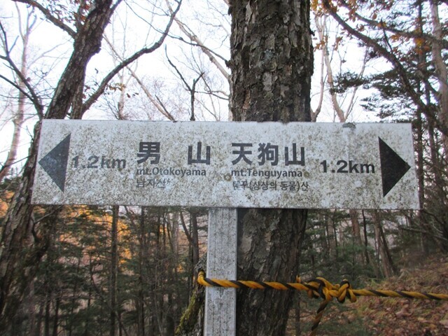 男山と天狗山の分岐付近にあった道標