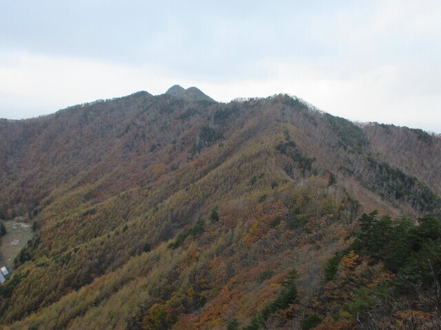 天狗山の紅葉の様子