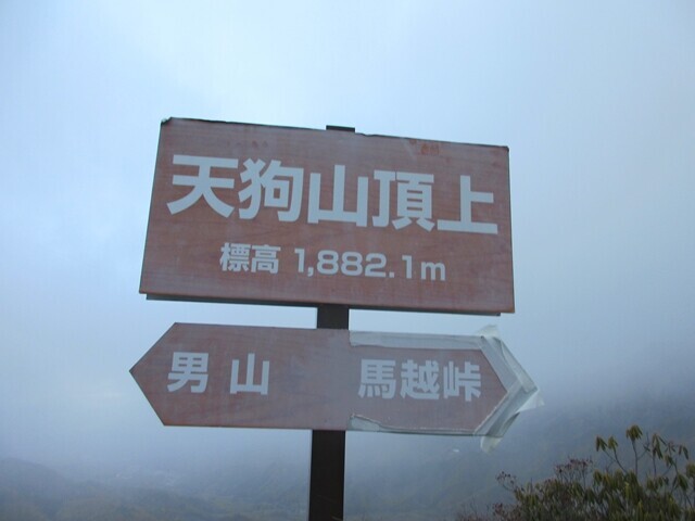 信州百名山の一座であります天狗山の山頂の標高は1882m