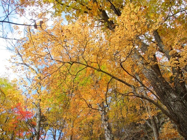 美しい紅葉の時期に御座山へ登山の感想