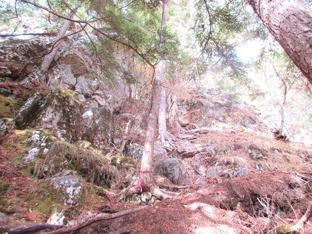 前御座山への登山ルート詳細