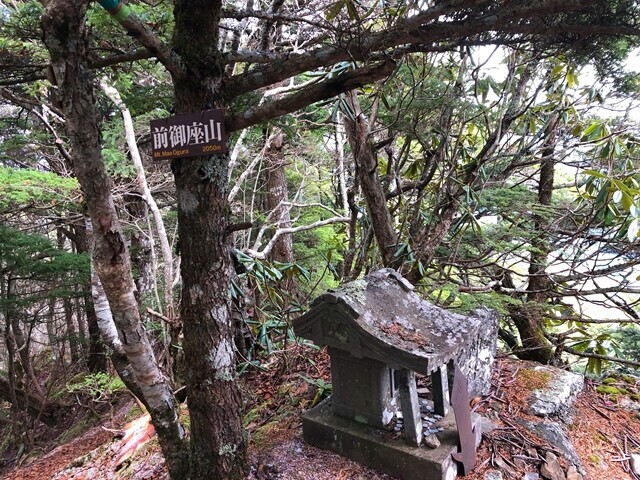 御座山の前衛峰の前御座山の山頂