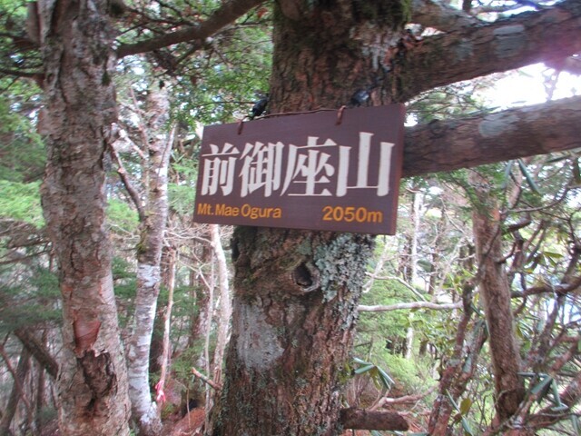 前御座山の標高は2,050m