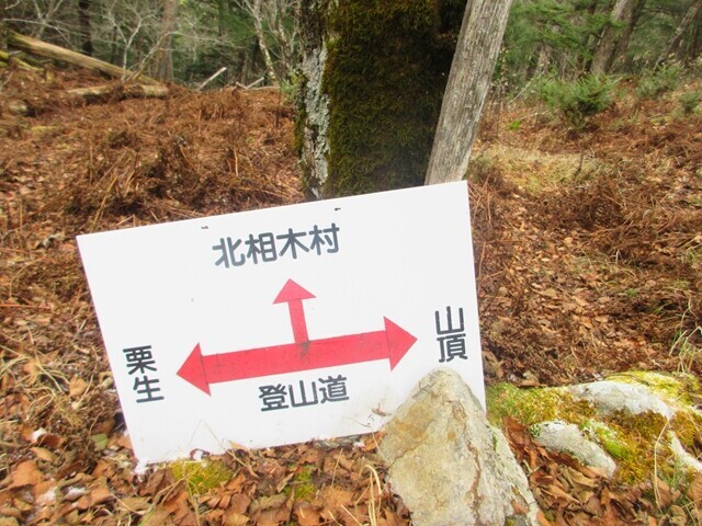 御座山避難小屋と北相木村へ延びる登山道との分岐地点