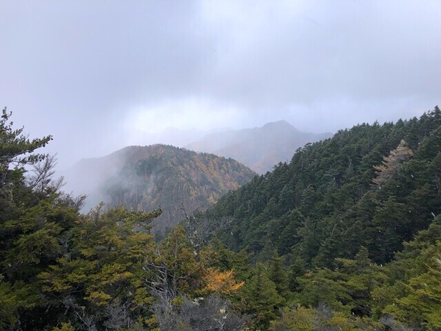御座山の山頂の景色