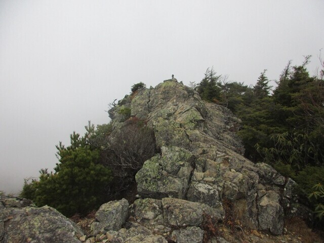 御座山山頂への登山道核心部