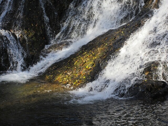 犬ころの滝の滝壺の様子