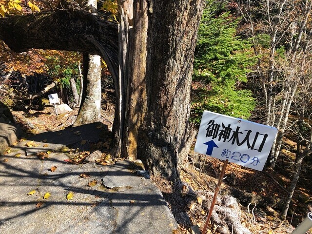 奥の院から御神木への入口