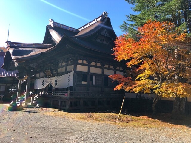 敬慎院周辺の紅葉
