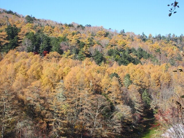 七面山登山中の様子