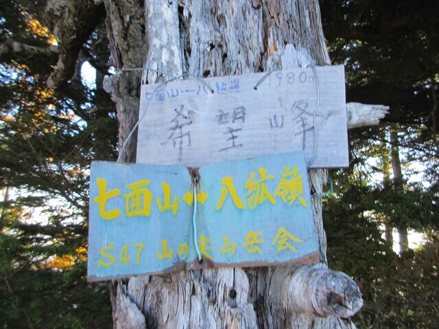 希望峰の山頂は標高は1,980m