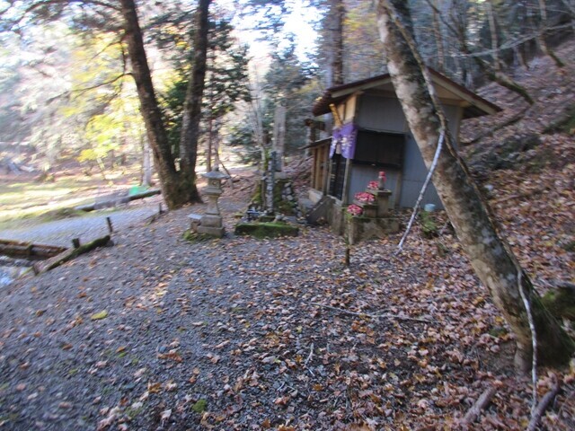 七面山二の池の紅葉