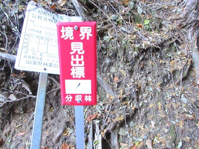恩若ノ峰、源次郎岳への登山道の目印