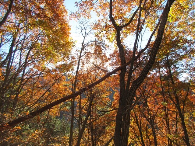 源次郎岳登山中に鑑賞した紅葉