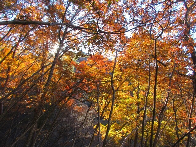 恩若ノ峰、源次郎岳周辺は紅葉が美しい