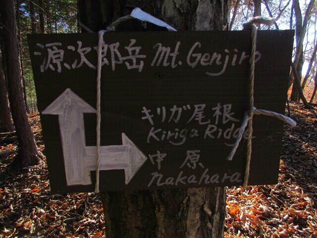 キリガ尾根の分岐