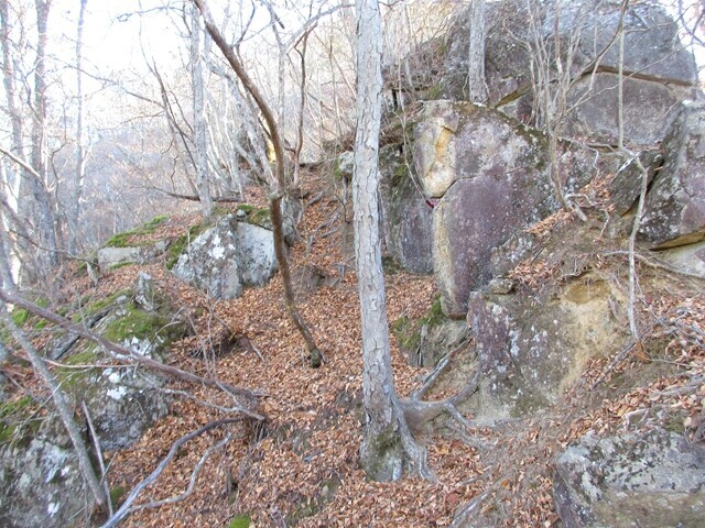 源次郎岳への登山道