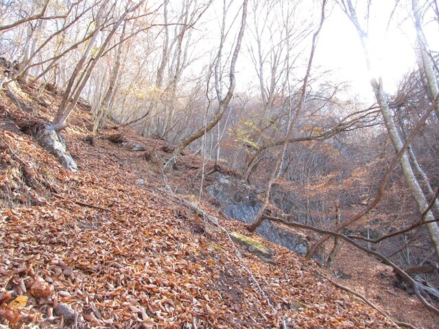 源次郎岳への激急登な登山道の様子