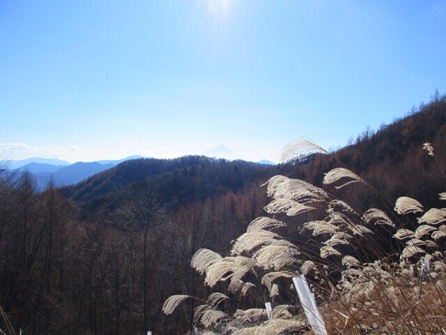 牛奥峠から富士山の景色