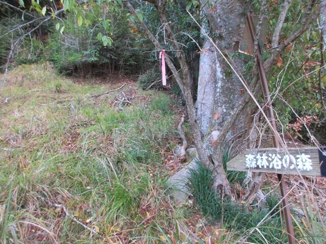 毛無山登山ルートの登山口