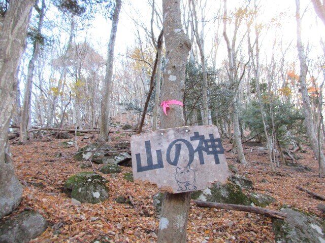 毛無山の山の神
