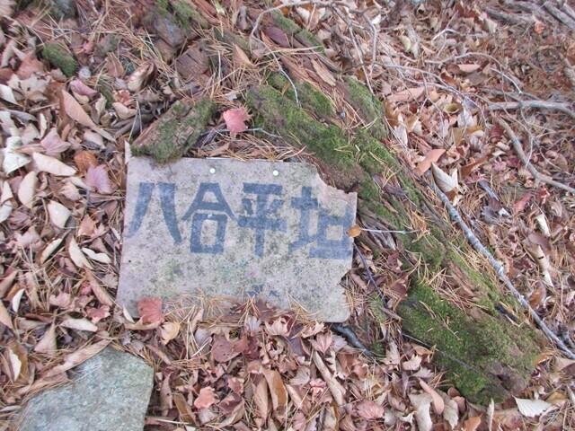 毛無山八合平坦