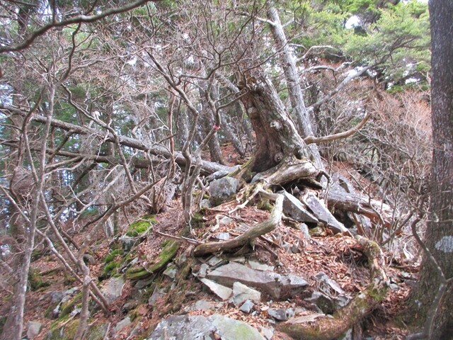 大ガレの頭を目指して登山中の様子