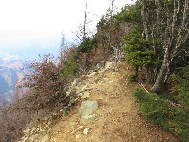 大ガレの頭の登山ルート