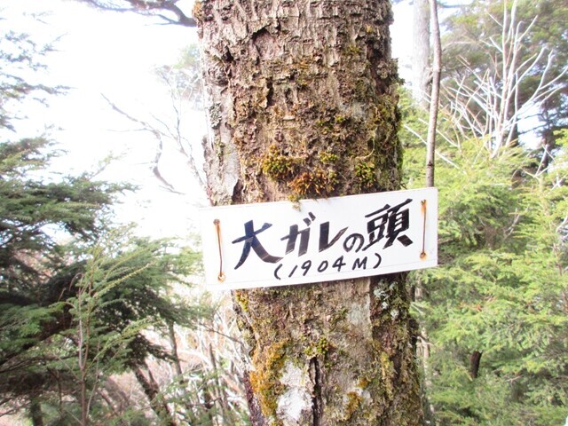 大ガレの頭の標高は１，９０４ｍ