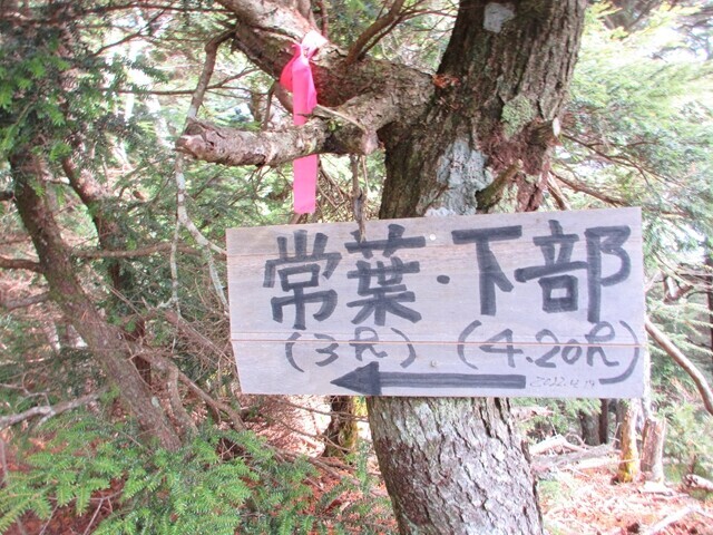 大ガレの頭から毛無山の山頂を目指して登山再開の様子