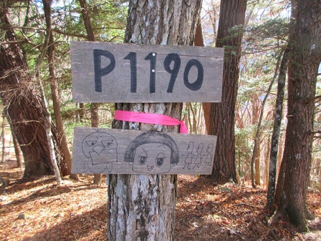 桑木山Ｐ１１９０ｍ地点