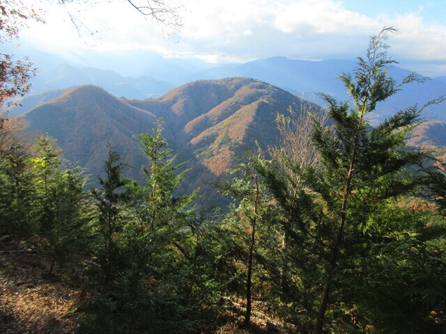 身延のスカイツリーである醍醐山
