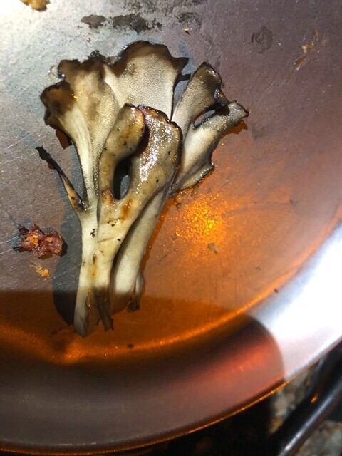 青笹山登山の現実に食べた舞茸