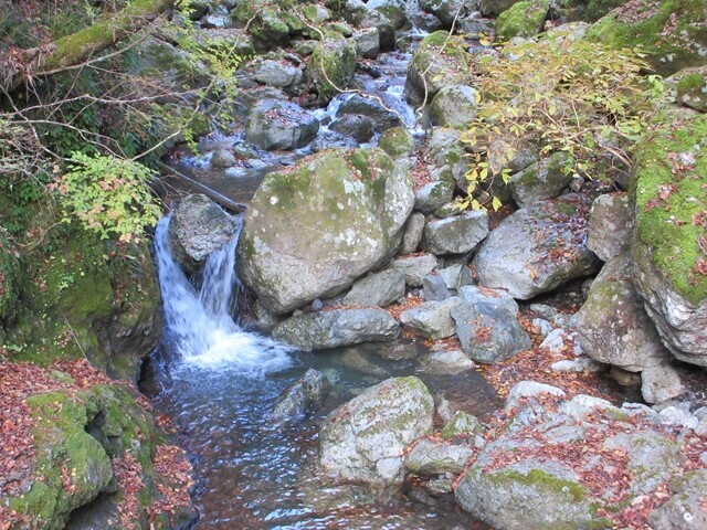 田代峠への登山中の沢の景色